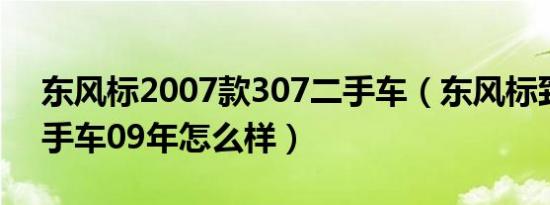 东风标2007款307二手车（东风标致307二手车09年怎么样）