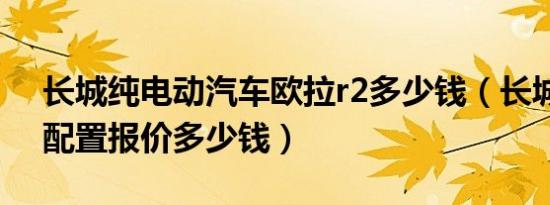 长城纯电动汽车欧拉r2多少钱（长城欧拉r2配置报价多少钱）