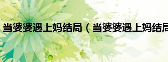 当婆婆遇上妈结局（当婆婆遇上妈结局介绍）