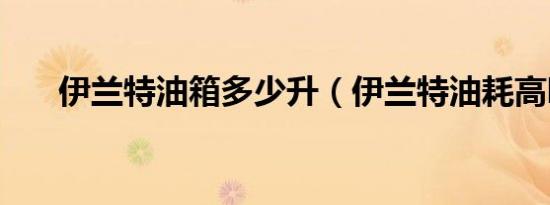 伊兰特油箱多少升（伊兰特油耗高吗）