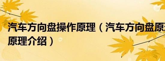 汽车方向盘操作原理（汽车方向盘原理方向盘原理介绍）