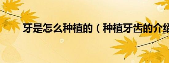 牙是怎么种植的（种植牙齿的介绍）