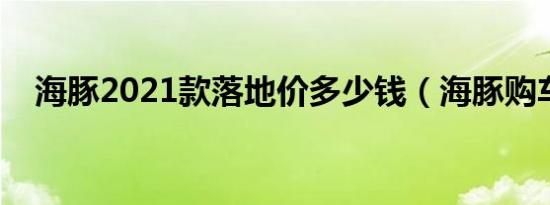 海豚2021款落地价多少钱（海豚购车价）