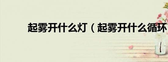 起雾开什么灯（起雾开什么循环）