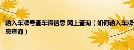 输入车牌号查车辆信息 网上查询（如何输入车牌号查车辆信息查询）