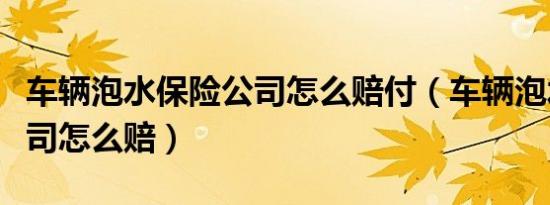 车辆泡水保险公司怎么赔付（车辆泡水保险公司怎么赔）