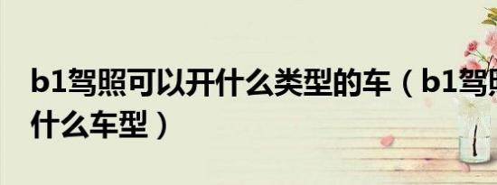 b1驾照可以开什么类型的车（b1驾照可以开什么车型）