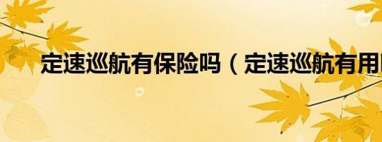定速巡航有保险吗（定速巡航有用吗）