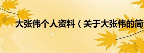 大张伟个人资料（关于大张伟的简介）