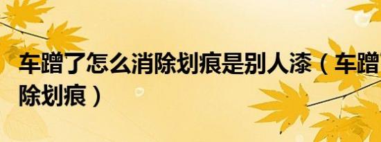 车蹭了怎么消除划痕是别人漆（车蹭了怎么消除划痕）