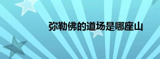 弥勒佛的道场是哪座山