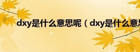 dxy是什么意思呢（dxy是什么意思）