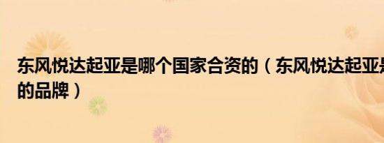 东风悦达起亚是哪个国家合资的（东风悦达起亚是哪个国家的品牌）