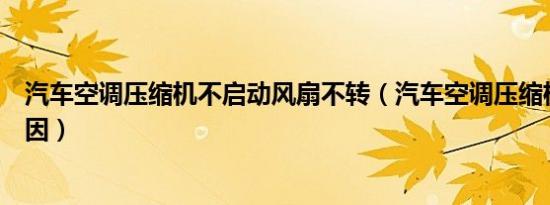 汽车空调压缩机不启动风扇不转（汽车空调压缩机不启动原因）