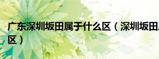 广东深圳坂田属于什么区（深圳坂田属于哪个区）
