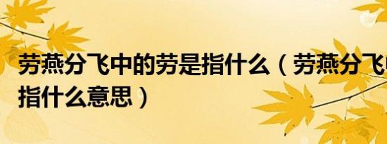 劳燕分飞中的劳是指什么（劳燕分飞中的劳是指什么意思）
