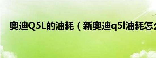 奥迪Q5L的油耗（新奥迪q5l油耗怎么样）