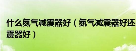 什么氮气减震器好（氮气减震器好还是普通减震器好）