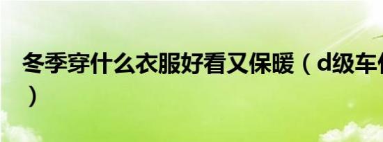 冬季穿什么衣服好看又保暖（d级车什么意思）