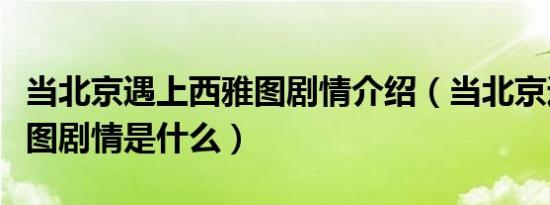 当北京遇上西雅图剧情介绍（当北京遇上西雅图剧情是什么）