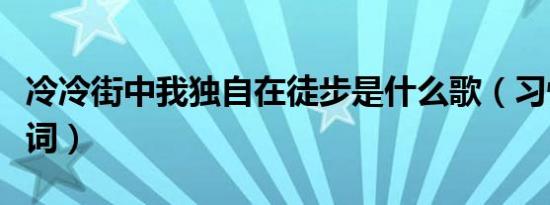 冷冷街中我独自在徒步是什么歌（习惯失眠歌词）