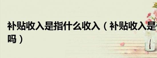 补贴收入是指什么收入（补贴收入是什么收入吗）