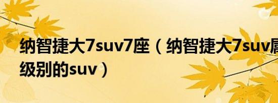 纳智捷大7suv7座（纳智捷大7suv属于什么级别的suv）