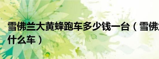 雪佛兰大黄蜂跑车多少钱一台（雪佛兰大黄蜂什么车）