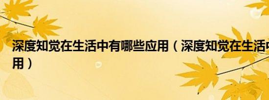 深度知觉在生活中有哪些应用（深度知觉在生活中有哪些应用）