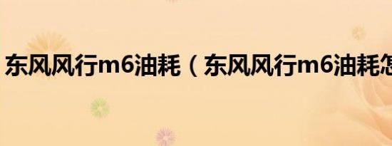 东风风行m6油耗（东风风行m6油耗怎么样）
