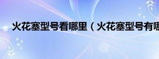 火花塞型号看哪里（火花塞型号有哪些）