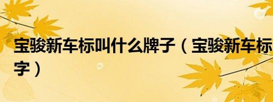 宝骏新车标叫什么牌子（宝骏新车标叫什么名字）