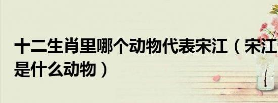 十二生肖里哪个动物代表宋江（宋江十二生肖是什么动物）
