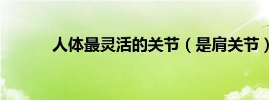 人体最灵活的关节（是肩关节）