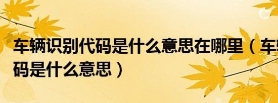 车辆识别代码是什么意思在哪里（车辆识别代码是什么意思）
