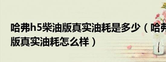 哈弗h5柴油版真实油耗是多少（哈弗h5柴油版真实油耗怎么样）