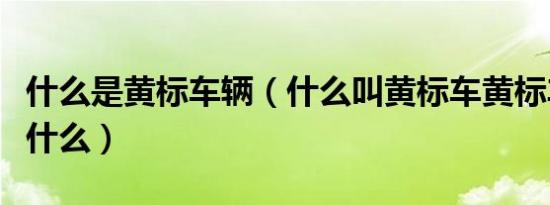 什么是黄标车辆（什么叫黄标车黄标车规定是什么）