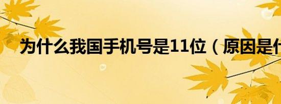 为什么我国手机号是11位（原因是什么）
