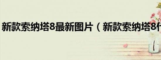 新款索纳塔8最新图片（新款索纳塔8代报价）