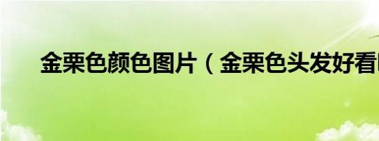 金栗色颜色图片（金栗色头发好看吗）
