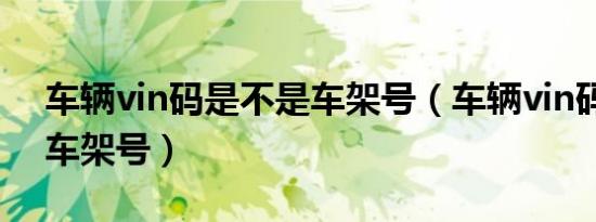 车辆vin码是不是车架号（车辆vin码是不是车架号）