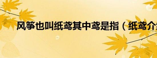风筝也叫纸鸢其中鸢是指（纸鸢介绍）