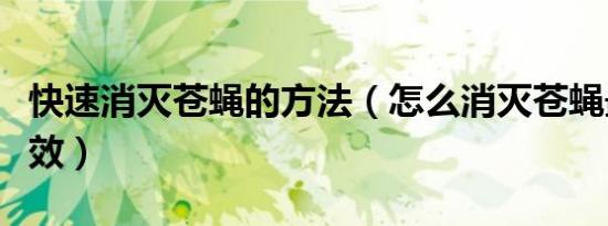 快速消灭苍蝇的方法（怎么消灭苍蝇最快最有效）