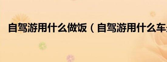 自驾游用什么做饭（自驾游用什么车最好）