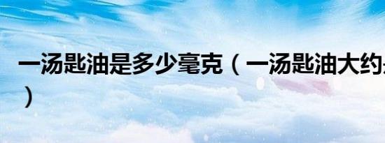 一汤匙油是多少毫克（一汤匙油大约是多少克）