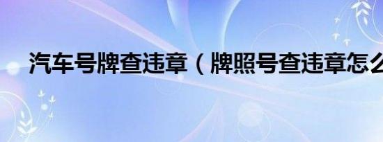 汽车号牌查违章（牌照号查违章怎么查）