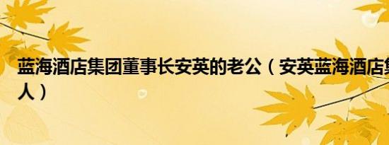 蓝海酒店集团董事长安英的老公（安英蓝海酒店集团是哪里人）