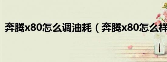 奔腾x80怎么调油耗（奔腾x80怎么样口碑）