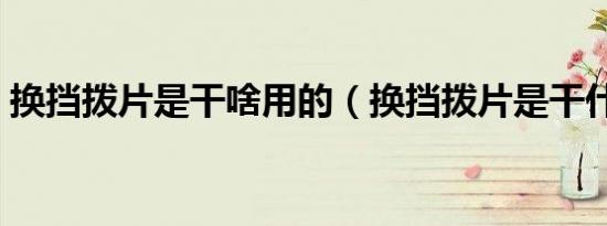 换挡拨片是干啥用的（换挡拨片是干什么的）