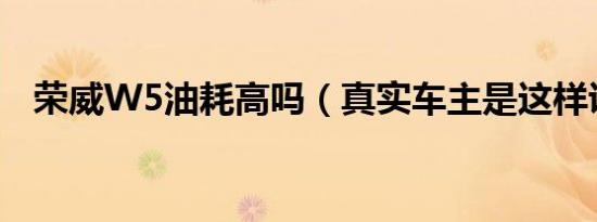 荣威W5油耗高吗（真实车主是这样说的）